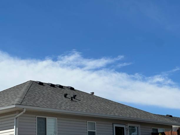 Best Roof Maintenance and Cleaning  in Wilmington Island, GA
